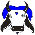 Coari